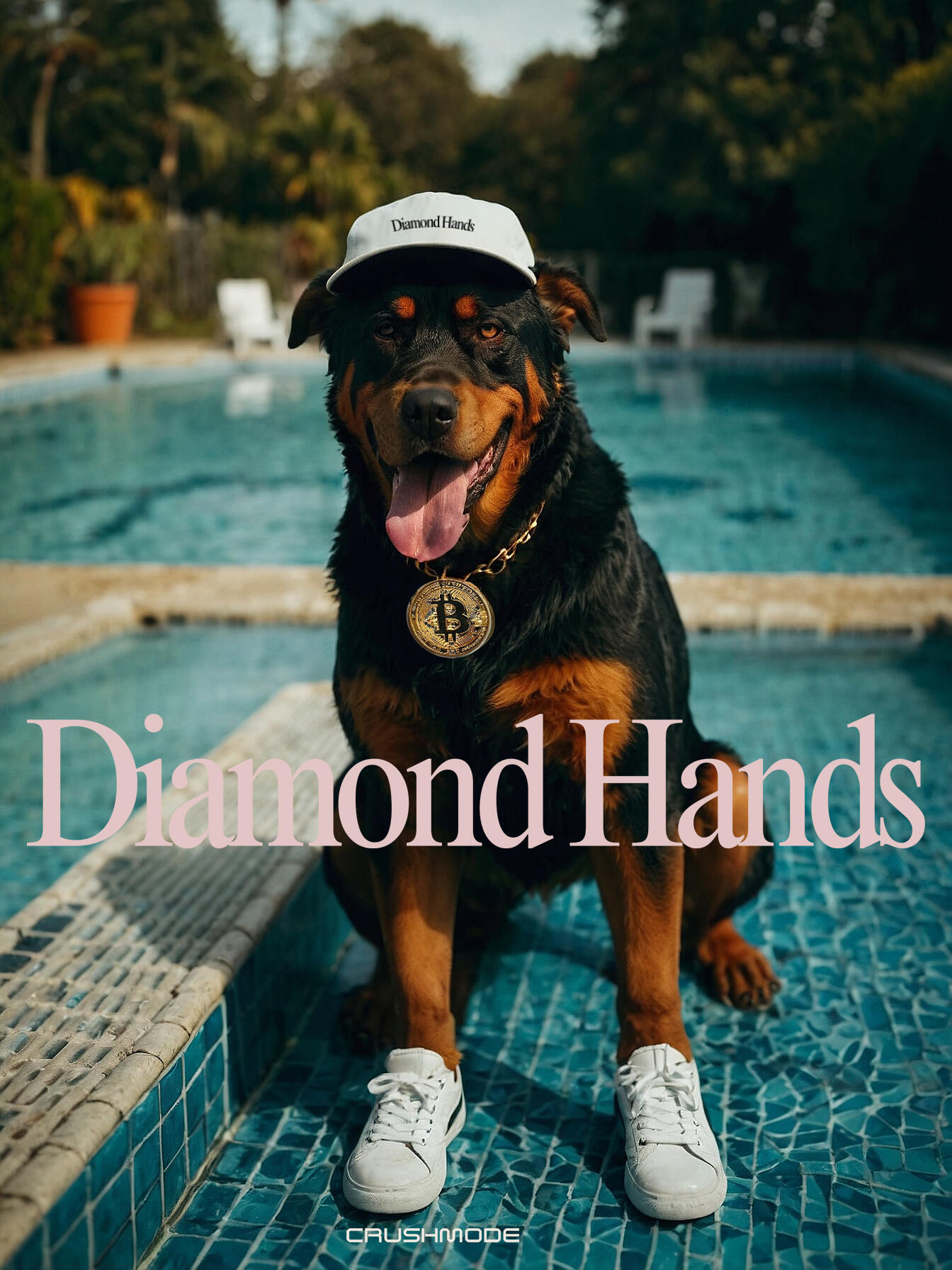 Diamond Hands - Satoshi Art Club T shirt annd hat